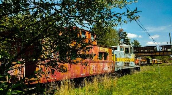 The Tragic Story Behind New Jersey’s Chilling Train Graveyard