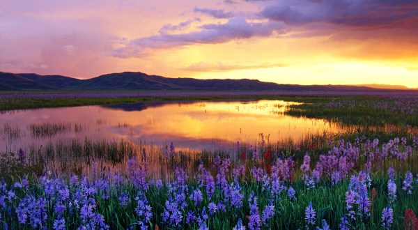 The Beautiful Landscape In Idaho You’ll Only See Once A Year