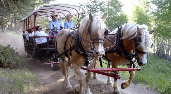 The Wagon Ride Dinner In Montana Everyone Should Experience At Least Once