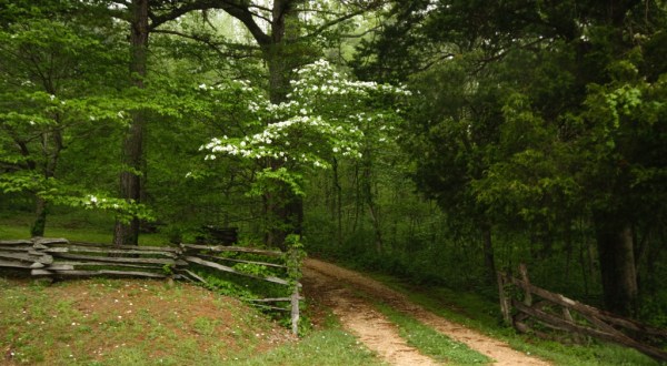 13 Places In Rural Arkansas That Prove Life In The Natural State Is Still Slow