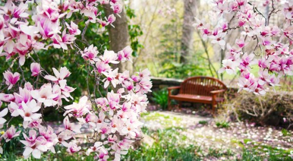 The Secret Garden In Delaware You’re Guaranteed To Love