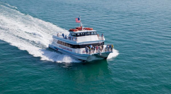 The Amazing Glass-Bottomed Boat Tour In Florida That Will Bring Out The Adventurer In You