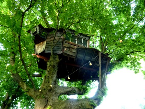 Sleep Underneath The Forest Canopy At This Epic Treehouse In Idaho