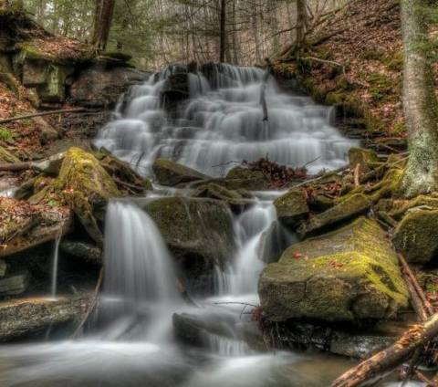 10 Under-Appreciated State Parks Near Pittsburgh You're Sure To Love