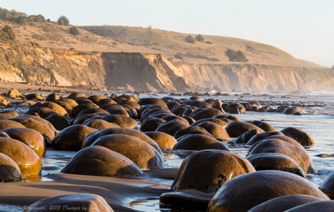 The Most Unusual Beach In Northern California Is Downright Fascinating