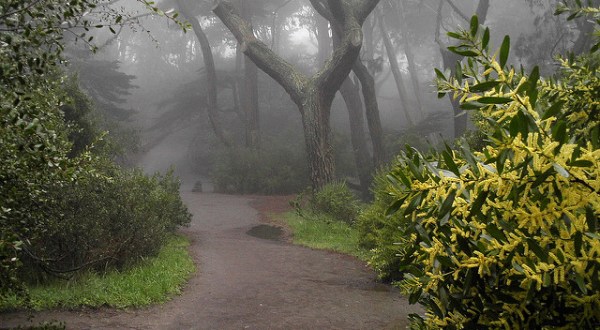 The Haunted Hike In San Francisco Will Send You Running For The Hills