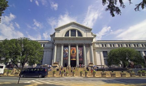 Here Are 15 Museums In Washington DC That You Absolutely Must Visit