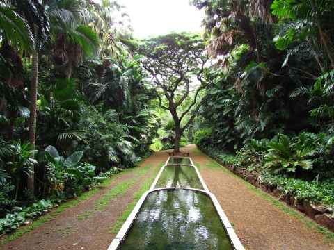 The Secret Garden In Hawaii You’re Guaranteed To Love