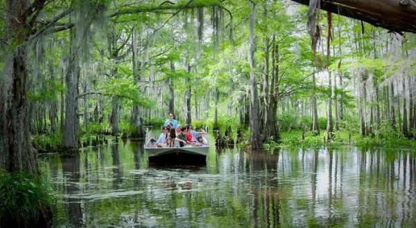 11 Swamp Boat Tours In Louisiana That Will Make You Fall In Love With The Bayou