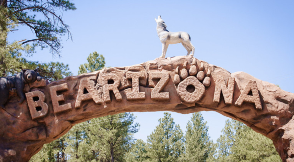 Visit This Little Known Arizona Park For The Time Of Your Life