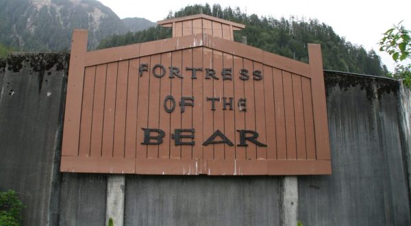 You’ll Never Forget A Visit To This One Of A Kind Bear Sanctuary In Alaska