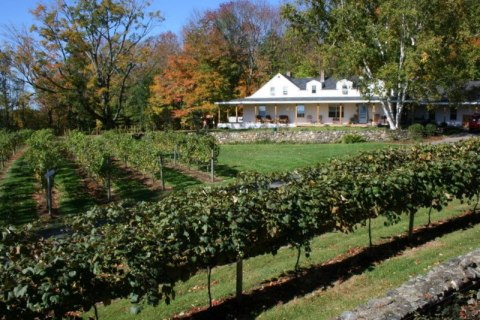 The Remote Winery in New Hampshire That's Picture Perfect for a Day Trip