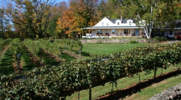 The Remote Winery in New Hampshire That’s Picture Perfect for a Day Trip