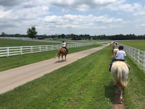 If You've Never Visited Kentucky's Horse Park You're Truly Missing Out