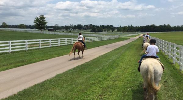 If You’ve Never Visited Kentucky’s Horse Park You’re Truly Missing Out