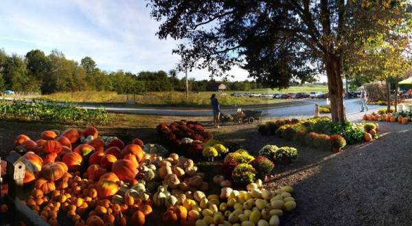 There’s A Bakery On This Beautiful Farm In Kentucky And You Have To Visit