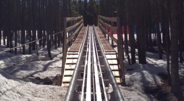 The Mountain Coaster In Colorado That Will Take You On A Ride Of A Lifetime