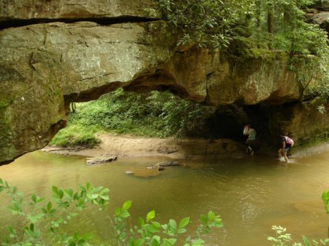The Kentucky Hike That Leads To The Most Unforgettable Destination