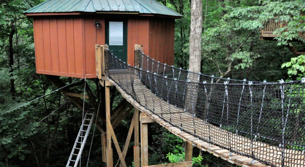 Sleep Underneath The Forest Canopy At This Epic Treehouse In Georgia