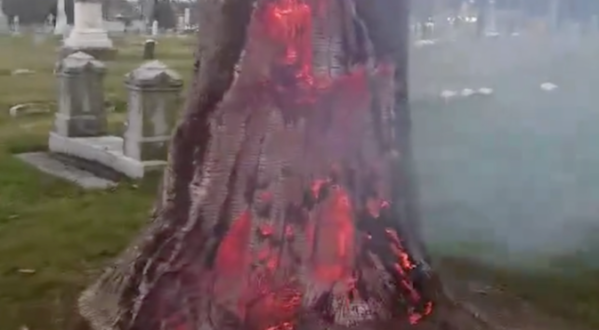 A Devil’s Tree Was Just Discovered In This Missouri Cemetery And It’s Beyond Creepy