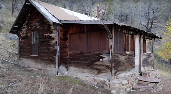Nobody Knows Who’s Leaving Fresh Flowers At This Decrepit Abandoned Cabin