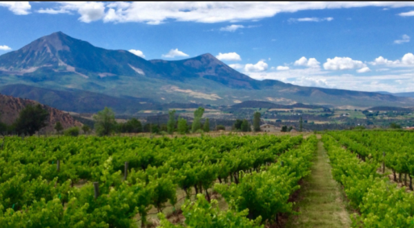 The Remote Winery In Colorado That’s Picture Perfect For A Day Trip