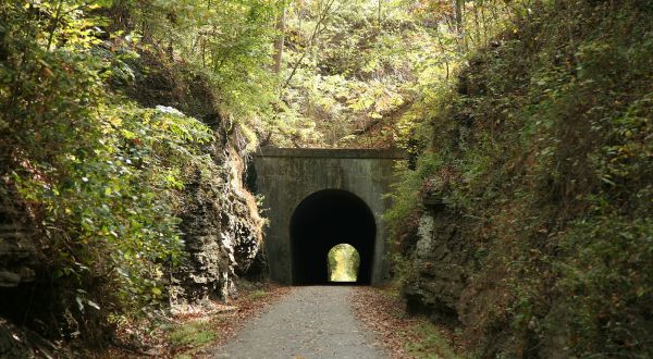 Take A Scenic Ride Along These 9 Stunning Illinois Bike Paths