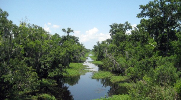 7 Amazing Natural Wonders Hiding In Plain Sight In Louisiana — No Hiking Required