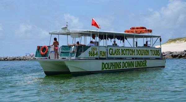 The Amazing Glass-Bottomed Boat Tour In Alabama Will Bring Out The Adventurer In You