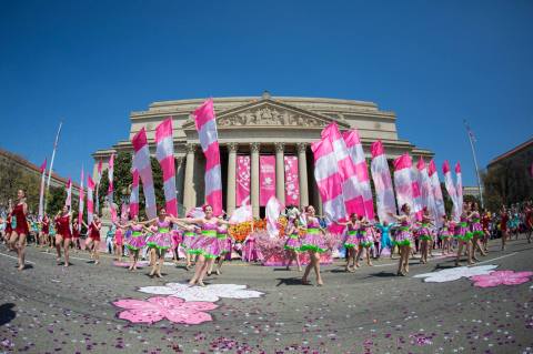 There's Nothing Better Than This Epic Festival In Washington DC