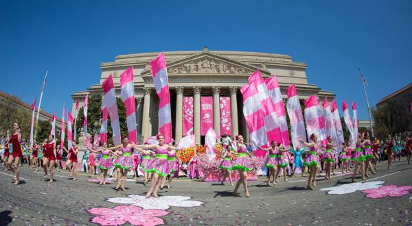 There’s Nothing Better Than This Epic Festival In Washington DC