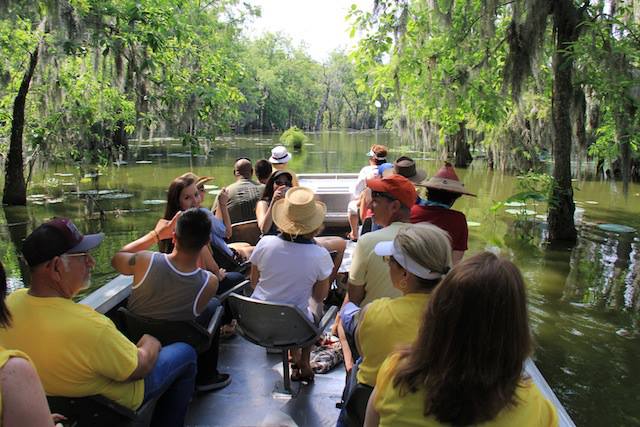 swamp boat tour louisiana