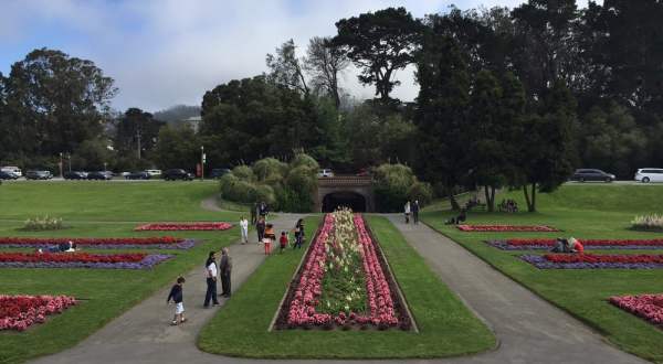 The Place In San Francisco That Makes You Feel Like You’ve Stepped Through A Magical Wardrobe