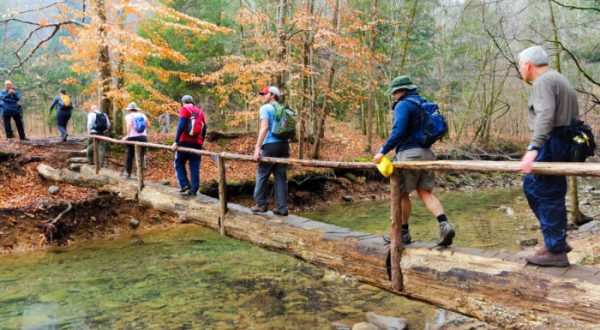 You Can’t Afford To Miss These 12 Free Outdoor Activities In Alabama