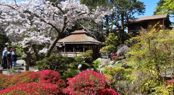 The Secret Garden In San Francisco You’re Guaranteed To Love