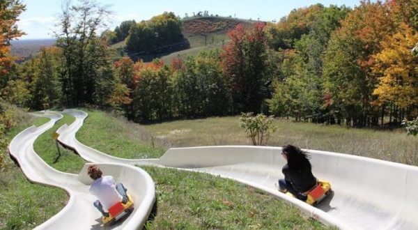 The Mountain Coaster In Michigan That Will Take You On A Ride Of A Lifetime
