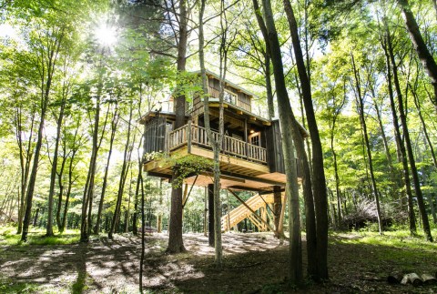Sleep Underneath The Forest Canopy At This Epic Treehouse In Ohio