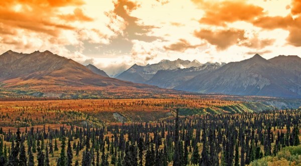 19 Things You Quickly Learn When You Move To Alaska