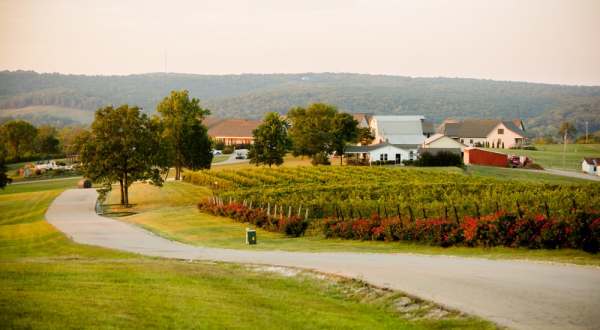The Tiny Town In Missouri That’s The Next Wine Capital Of The World