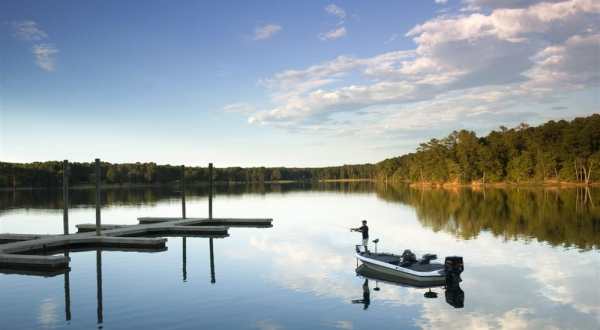 5 Under-Appreciated State Parks In South Carolina You’re Sure To Love