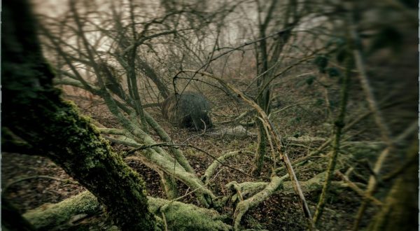 The Story Behind This Evil Place In Oklahoma Will Make Your Blood Turn Cold