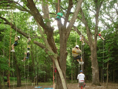 There’s An Adventure Park Hiding In The Middle Of A Nebraska Woods And You Need To Visit