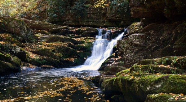 12 Easy Hikes To Add To Your Outdoor Bucket List In New Jersey