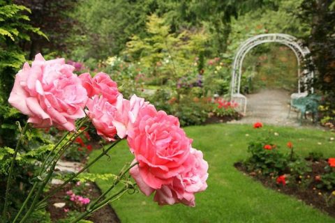 The Secret Garden In Washington You’re Guaranteed To Love