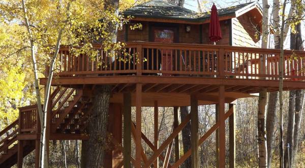Sleep Underneath The Forest Canopy At These Epic Treehouses In Montana