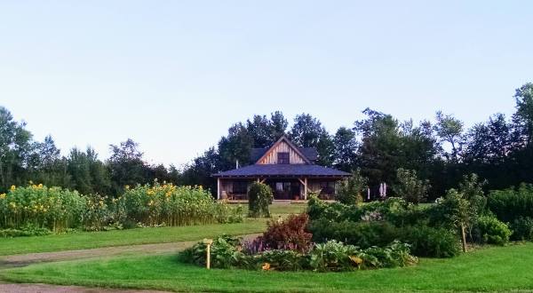 The Remote Winery In Minnesota That’s Picture Perfect For A Day Trip