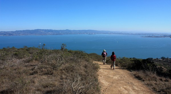 10 Under-Appreciated State Parks Near San Francisco You’re Sure To Love
