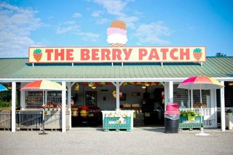 There's No Better Place To Spend The Day Than This Strawberry Farm In North Carolina