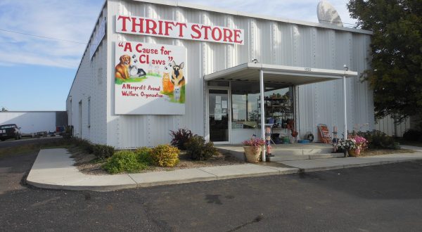 11 Incredible Thrift Stores In North Dakota Where You’ll Find All Kinds Of Treasures