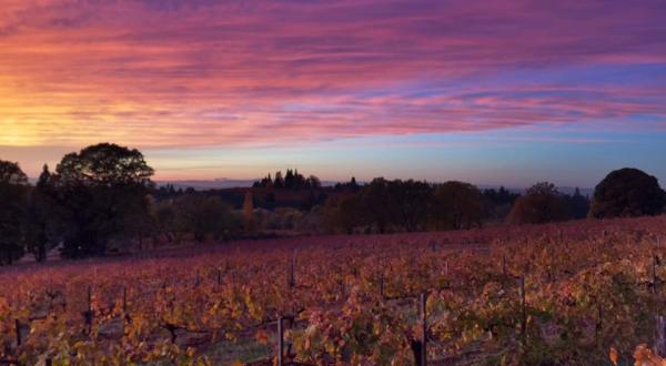 The Remote Winery In Northern California That’s Picture Perfect For A Day Trip